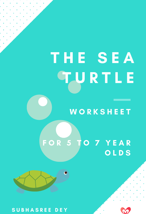 This is a ebook cover which represents a English comprehension called ' The sea turtle'