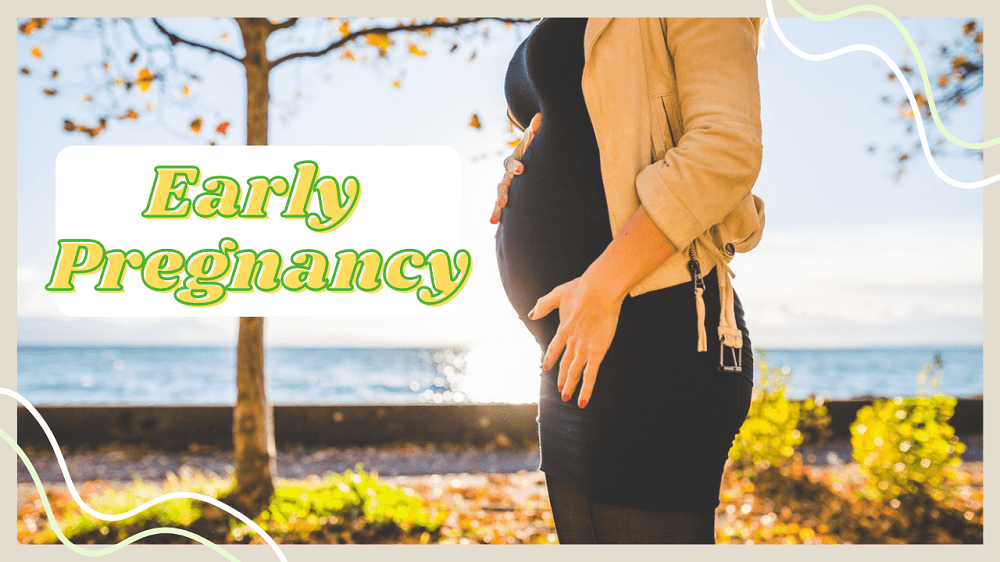 implantation-bleeding-no-other-pregnancy-symptoms-pregnancy-sympthom